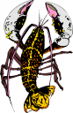 Lobster Clipart