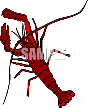 Lobster Clipart