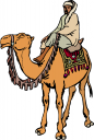 Camel Clipart