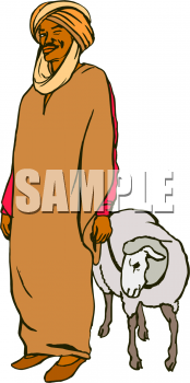 Sheep Clipart