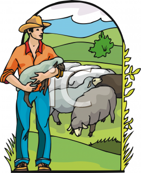 Sheep Clipart