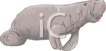 Mammal Clipart