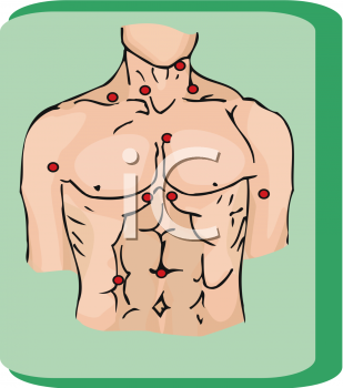 Anatomy Clipart