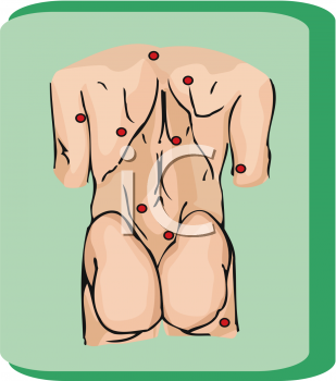 Anatomy Clipart