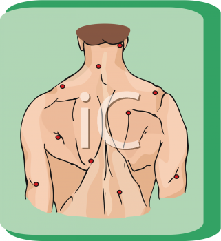 Anatomy Clipart