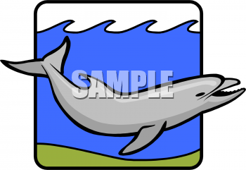 Dolphin Clipart