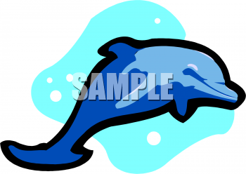 Dolphin Clipart