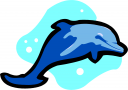 Dolphin Clipart