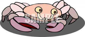 Crab Clipart