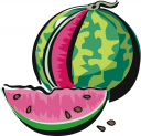 Watermelon Clipart