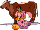 Cow Clipart