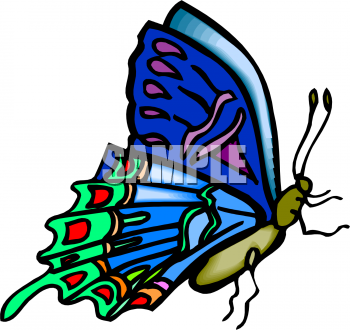 Bug Clipart