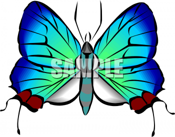 Bug Clipart