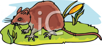 Grass Clipart