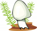 Grass Clipart