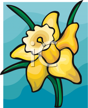 Daffodil Clipart