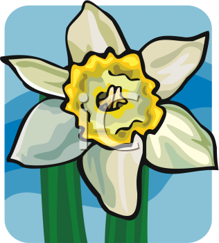Daffodil Clipart