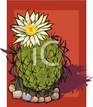 Cactus Clipart