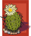 Cactus Clipart