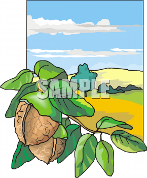 Produce Clipart