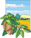 Produce Clipart