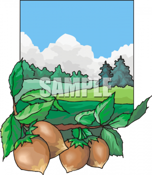 Produce Clipart