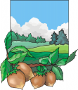 Produce Clipart