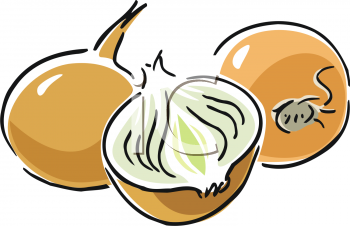 Onion Clipart