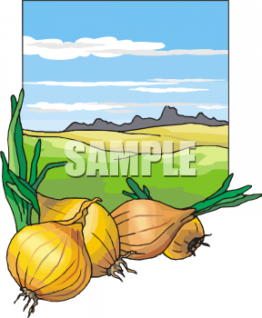 Produce Clipart