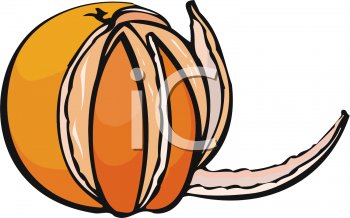 Orange Clipart