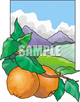 Produce Clipart