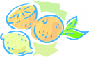 Lemon Clipart