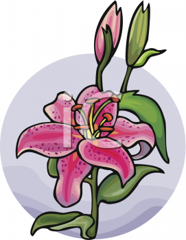 Orchid Clipart