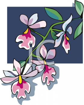 Orchid Clipart