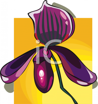 Orchid Clipart