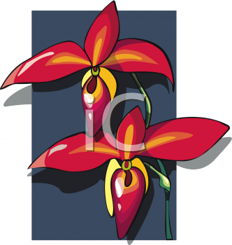 Orchid Clipart