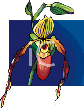 Orchid Clipart