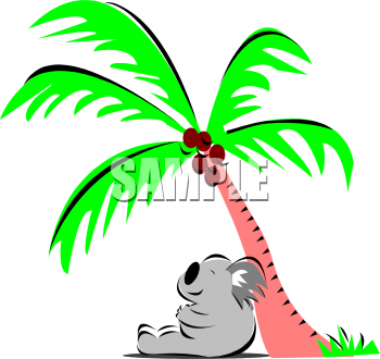 Bear Clipart