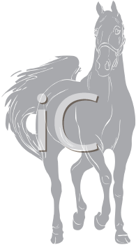 Horse Clipart