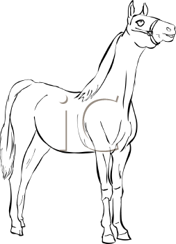 Horse Clipart