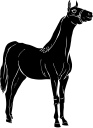 Horse Clipart