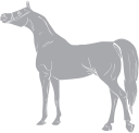 Horse Clipart