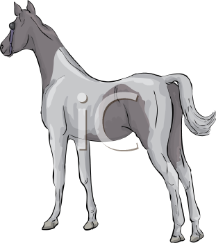 Horse Clipart