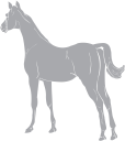 Horse Clipart