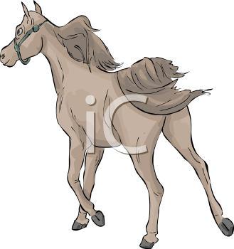 Horse Clipart