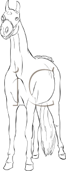 Horse Clipart