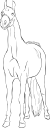 Horse Clipart