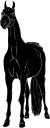 Horse Clipart