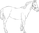 Horse Clipart