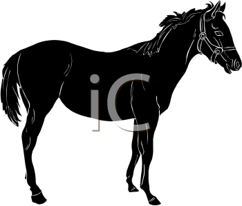 Horse Clipart